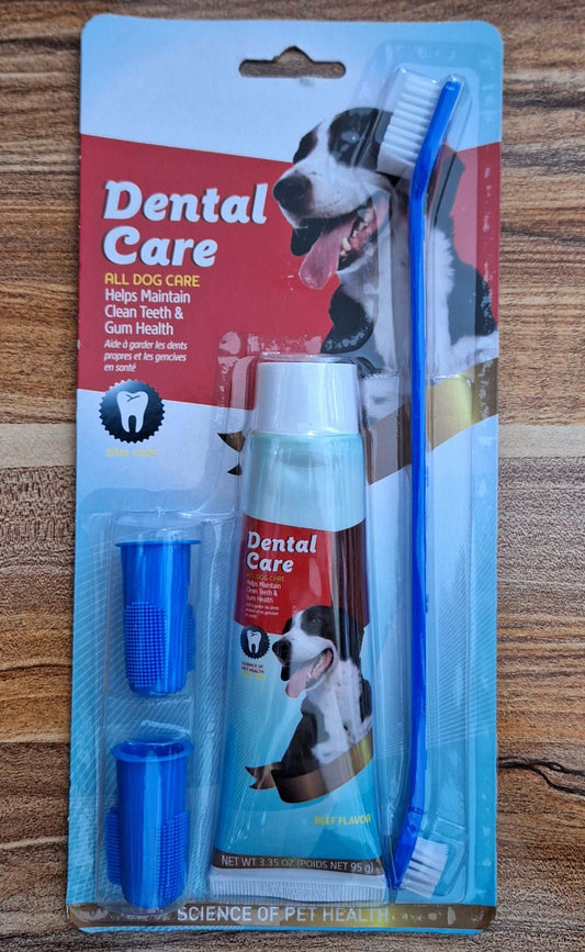 Dental Care For Dogs