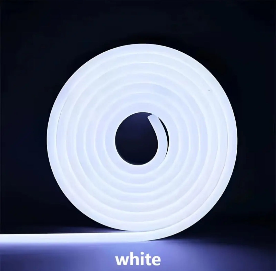Neon LED Flex 12v DC - Cool White 5m - Little Tokyo SA