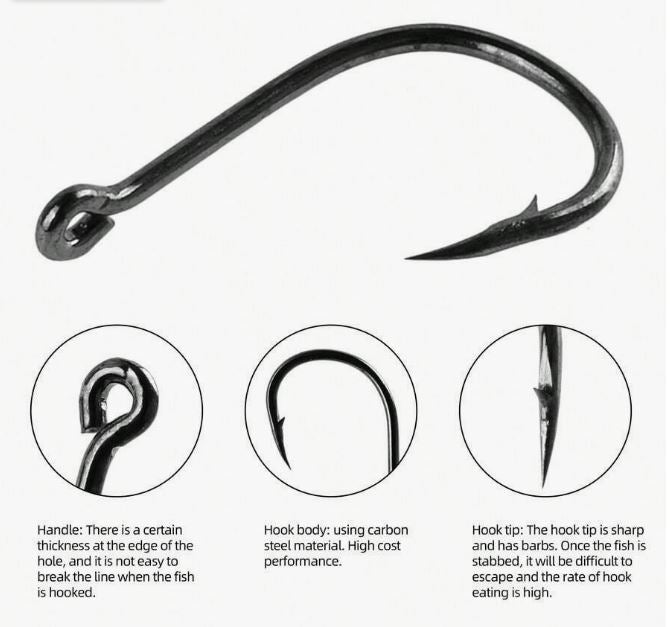 1000pcs Fresh Water Fishing Hooks Set - Little Tokyo SA