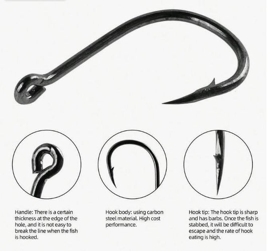 1000pcs Fresh Water Fishing Hooks Set - Little Tokyo SA