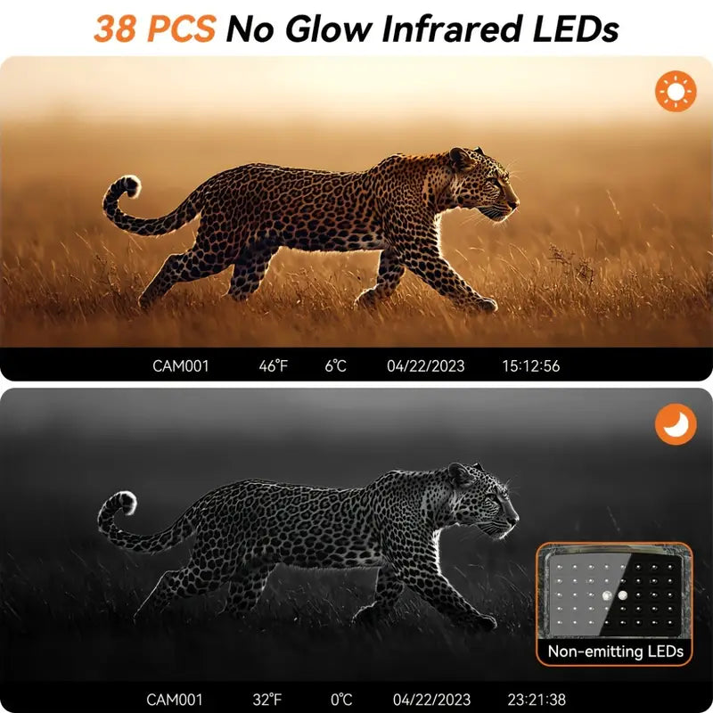 HOTU HD Trail Camera with 2-Inch Display, 16MP Wildlife Camouflage Camera - Little Tokyo SA