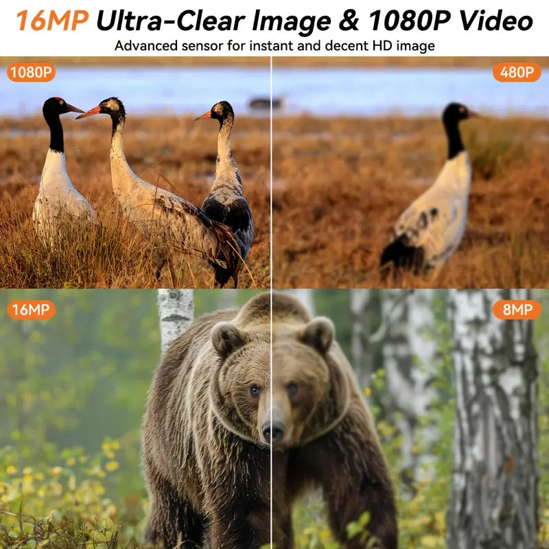 HOTU HD Trail Camera with 2-Inch Display, 16MP Wildlife Camouflage Camera - Little Tokyo SA