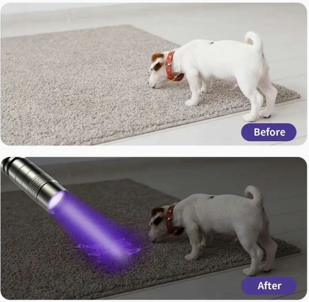 Temu UV flashlight with clip, 395nm black light, compact handheld design for UV detection and fluorescence illumination.