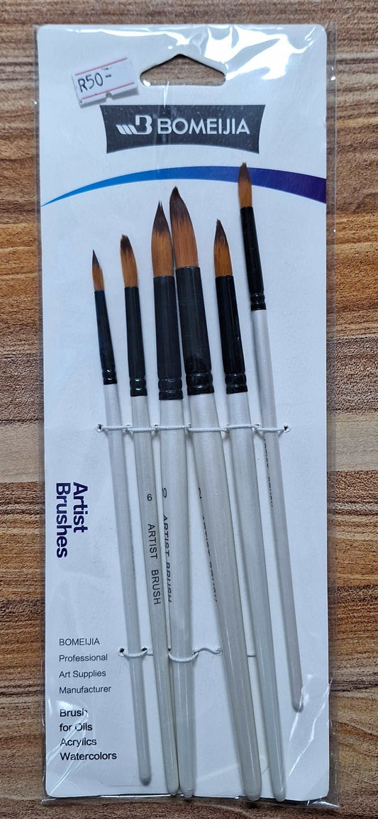 6pc Art Brushes