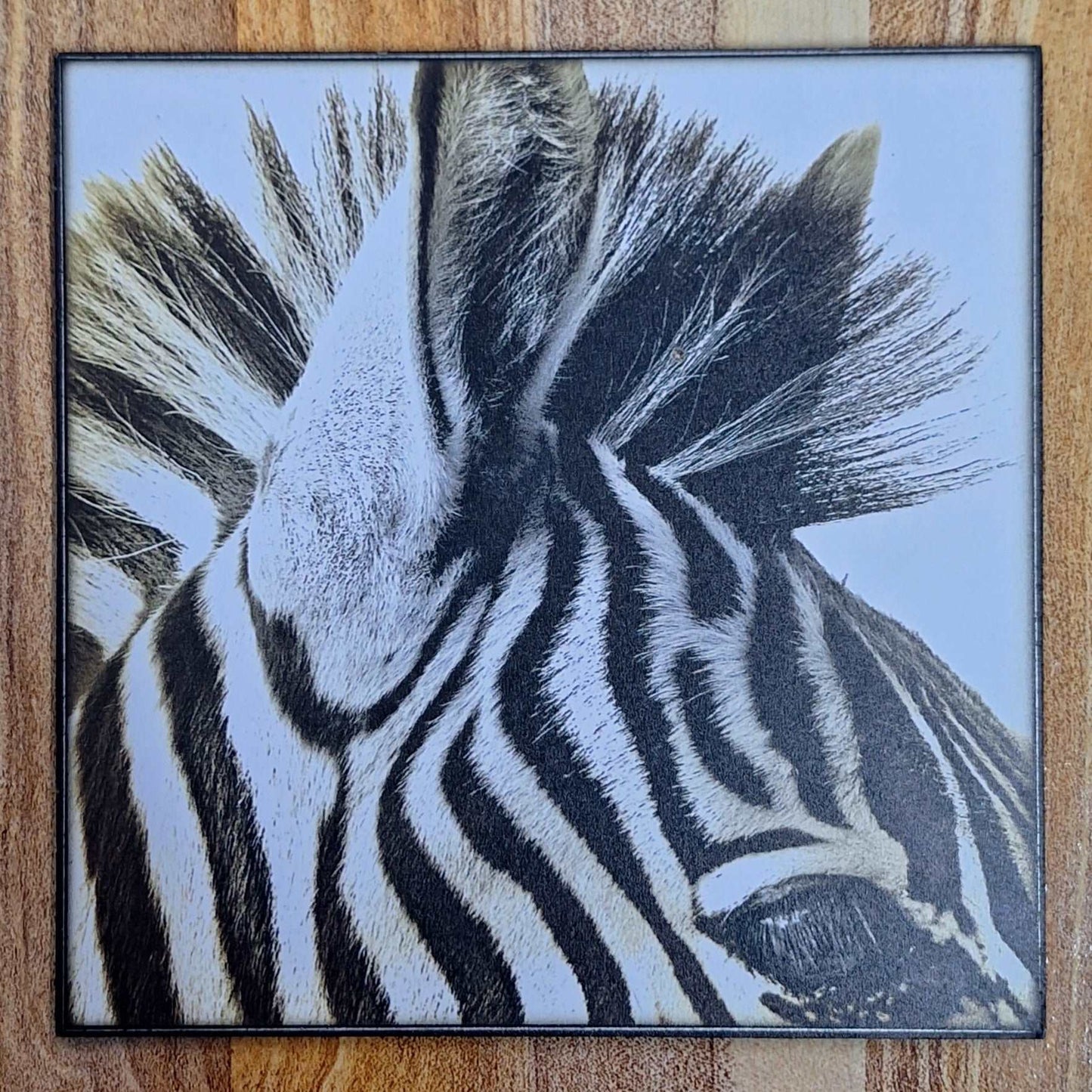 Wooden Wildlife Themed Coasters