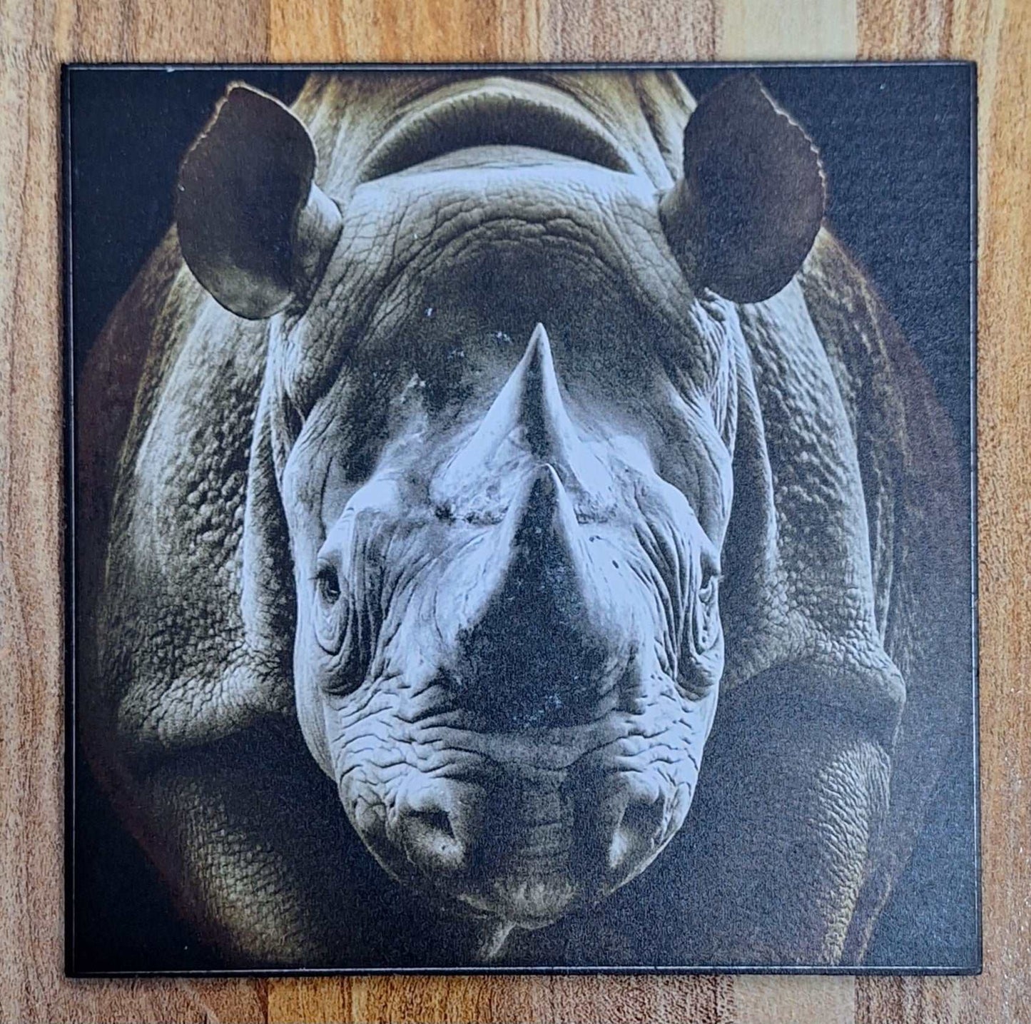 Wooden Wildlife Themed Coasters