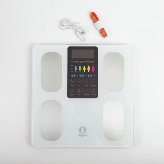 Mini Rechargeable Personal Scale