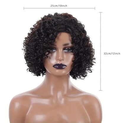 Women's Elegant Afro Curly Wig with Side Bangs