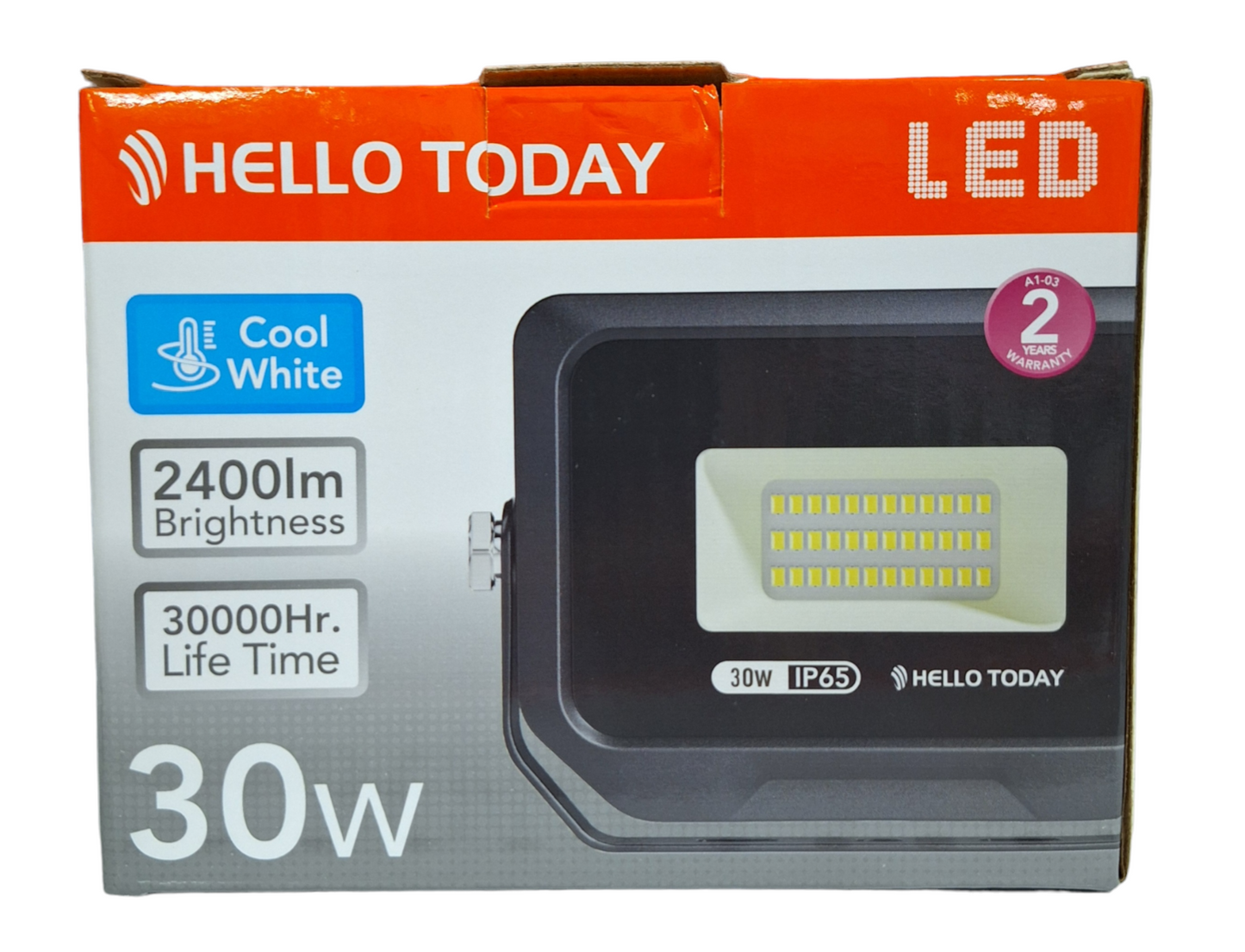 Hello Today Cool White 30 Watt Indoor/Outdoor Light