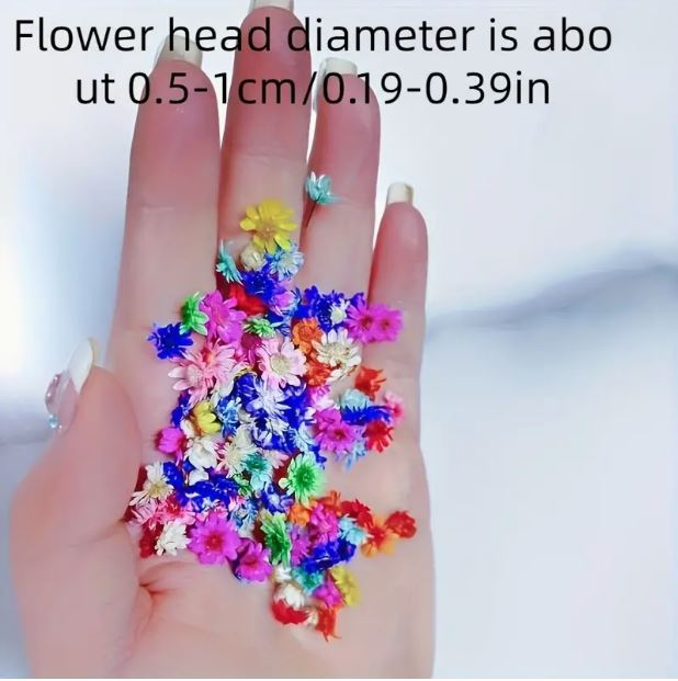 140pcs Small Craft Resin Dried Flowers