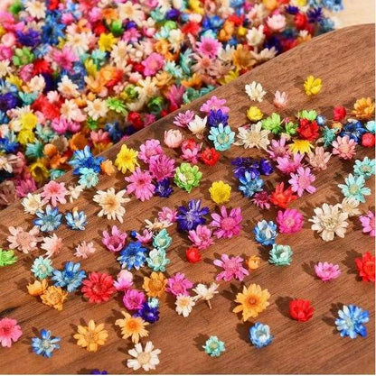 140pcs Small Craft Resin Dried Flowers