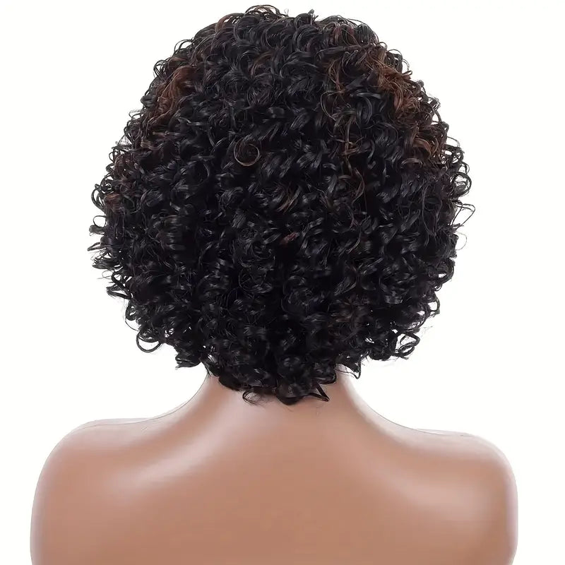 Women's Elegant Afro Curly Wig with Side Bangs