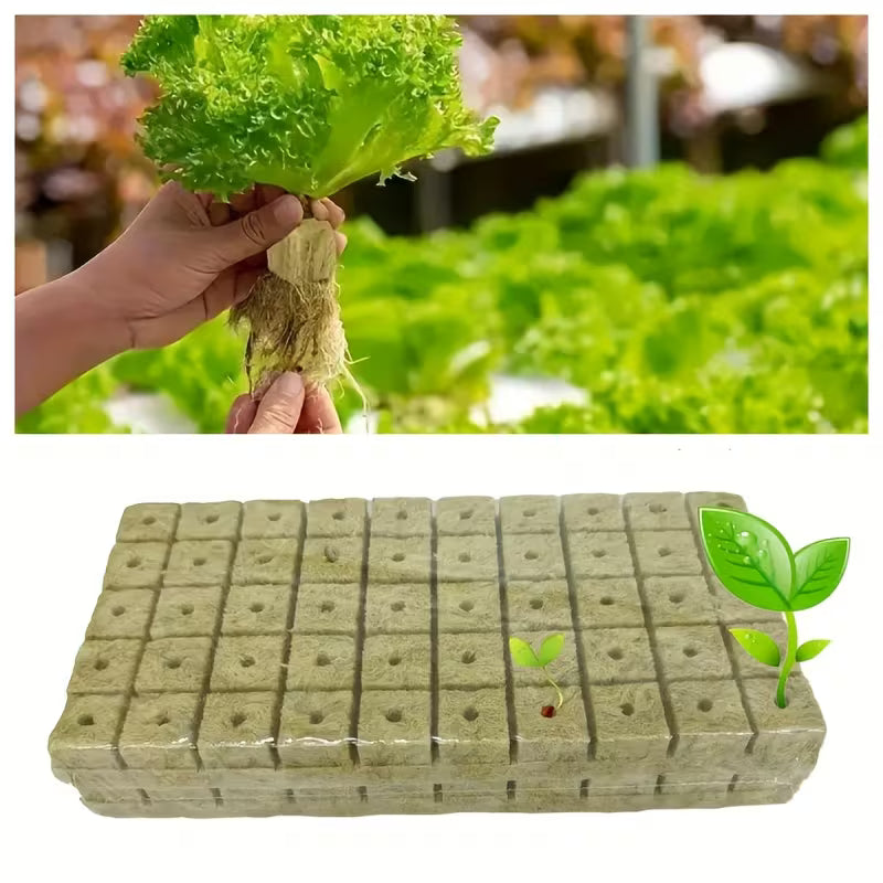 50Pcs Hydroponic Hydroponic Seedlings and Germination Plant Growth Blocks