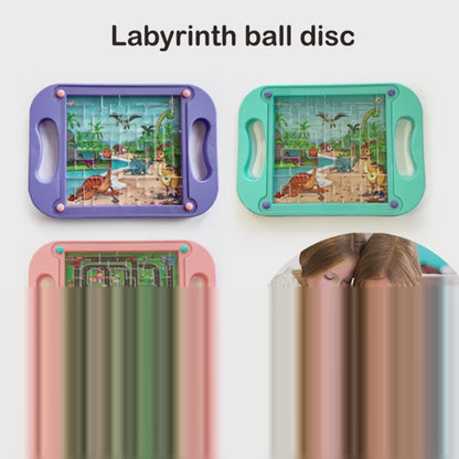 Handheld Maze Balance Ball Toy